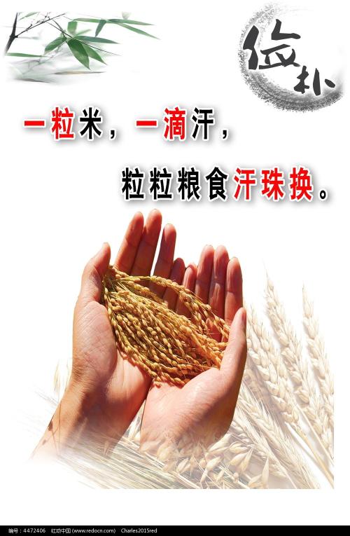 東洋英和女学院环境科学学位证书